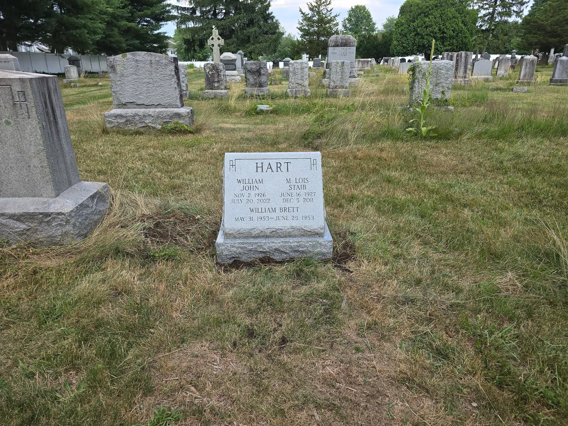 Granite Monument (general) hand-carved by NJ Granite Monuments in NJ — image 3